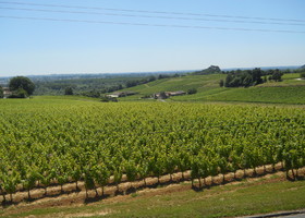 Château Fontenil