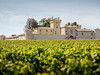 Château Lafaurie Peyraguey
