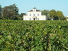 Château Montrose